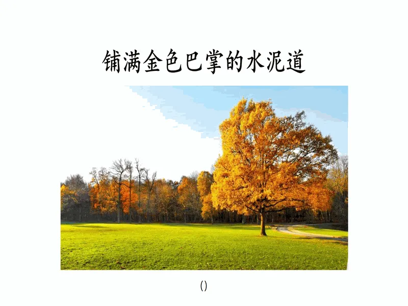 PPT内页预览