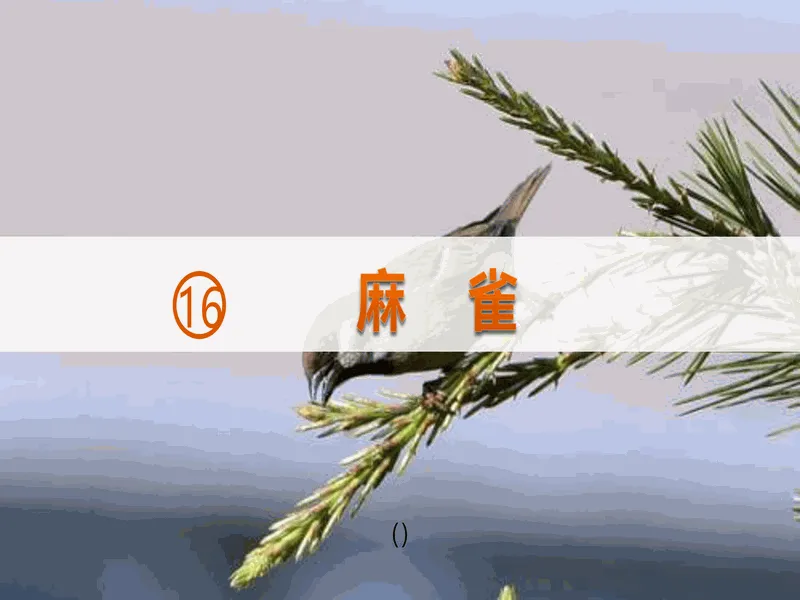 PPT内页预览