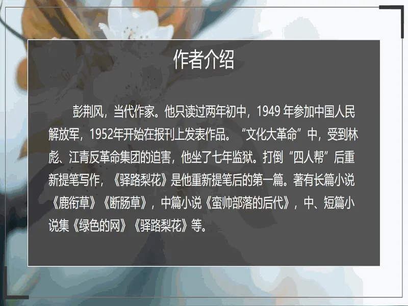 PPT内页预览