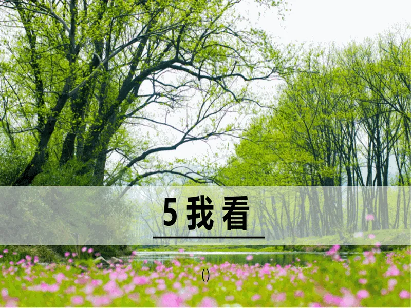 PPT内页预览