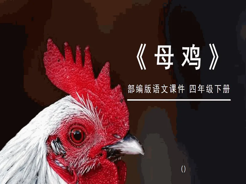 PPT内页预览