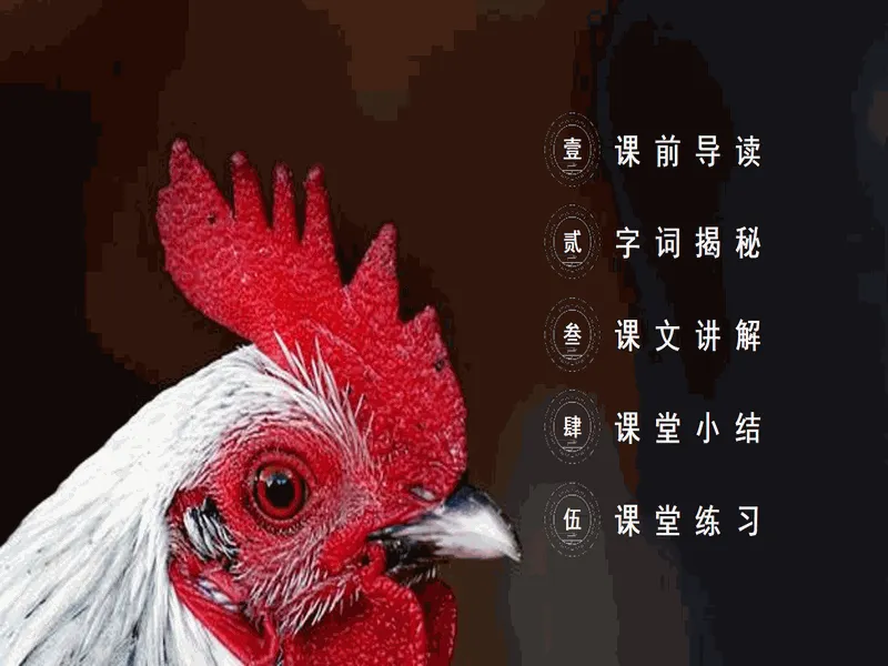 PPT内页预览