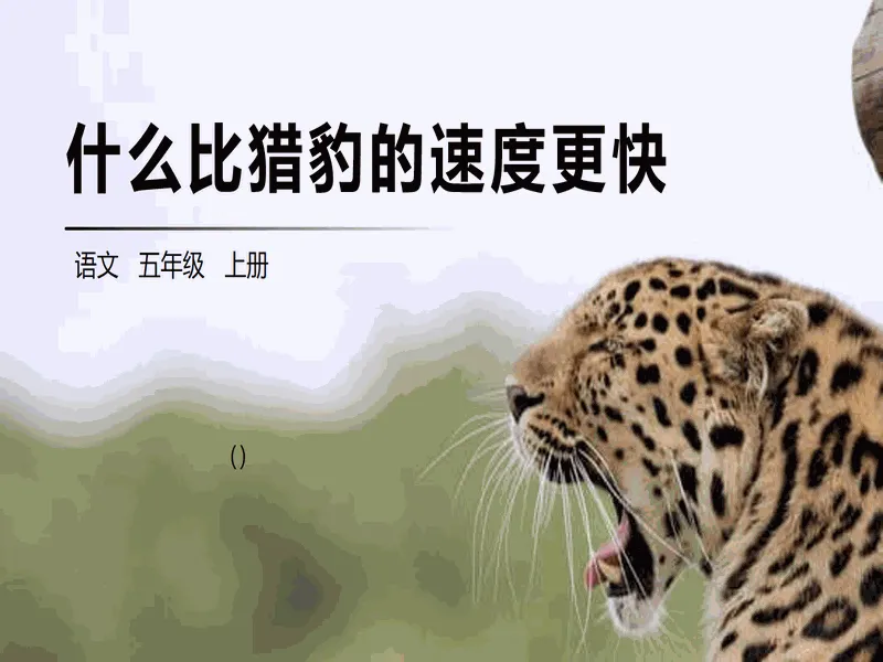 PPT内页预览