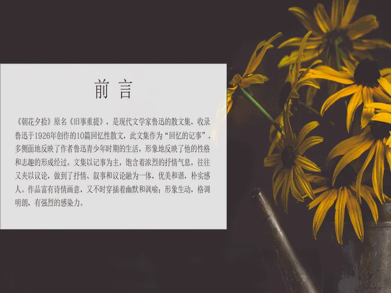 PPT内页预览
