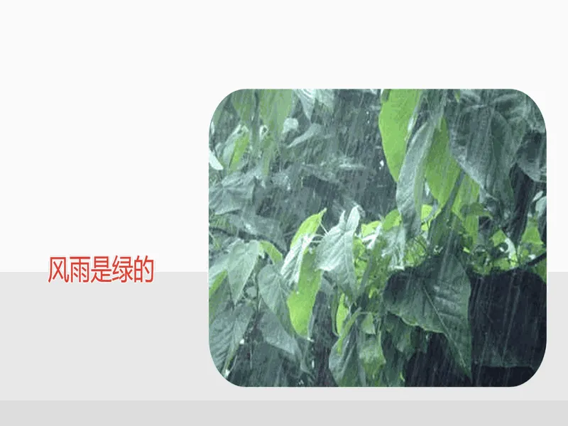 PPT内页预览