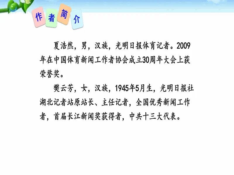 PPT内页预览