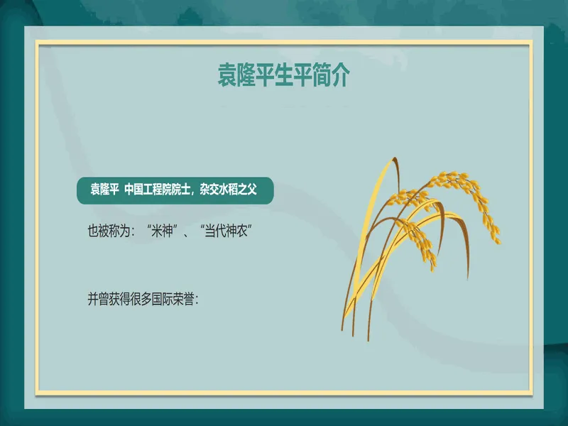 PPT内页预览