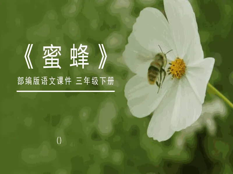 PPT内页预览
