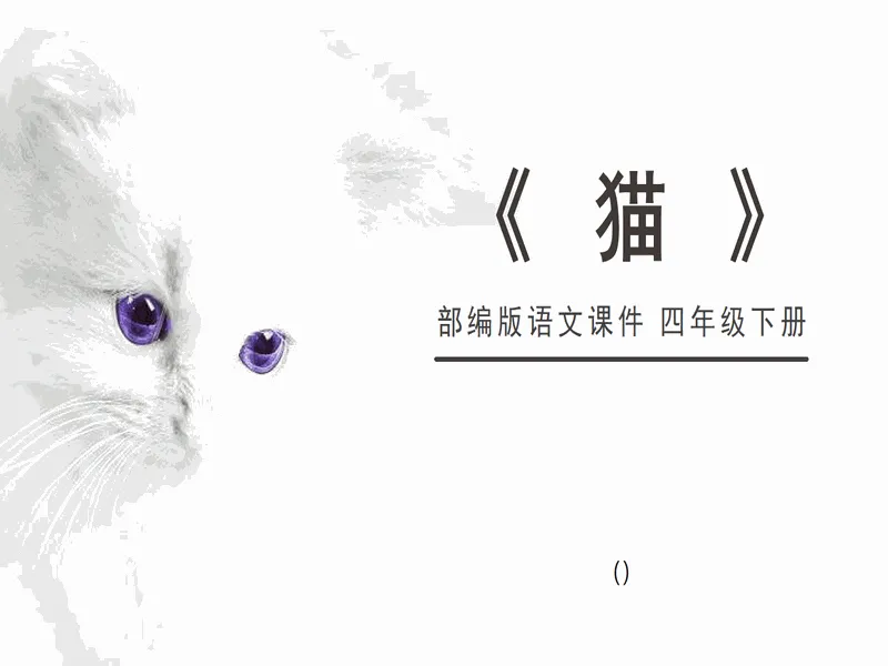 PPT内页预览