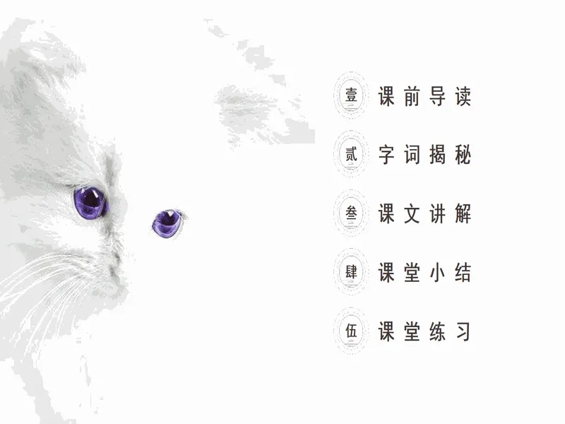 PPT内页预览