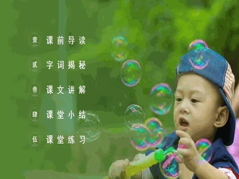 PPT内页预览