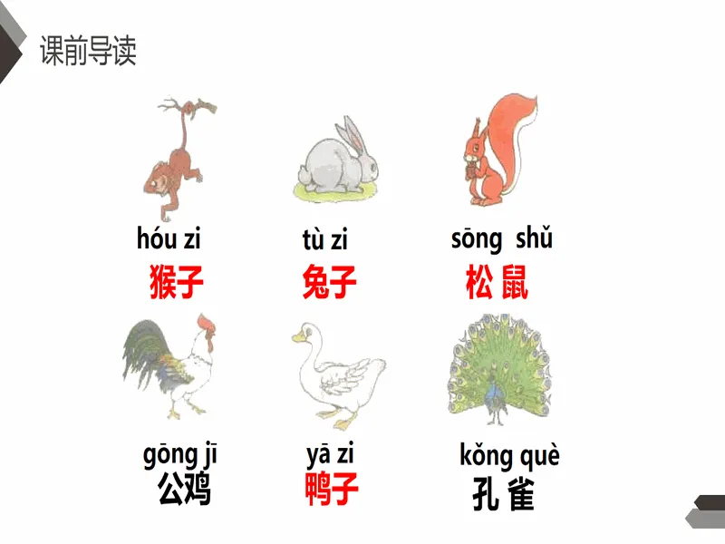 PPT内页预览