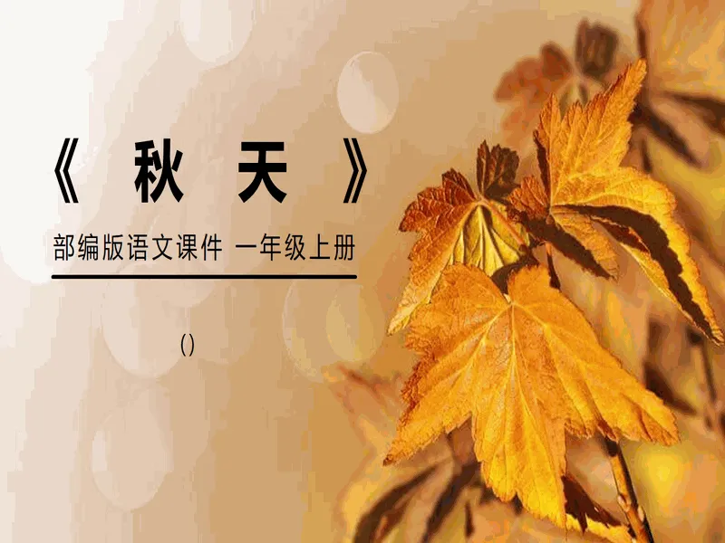 PPT内页预览