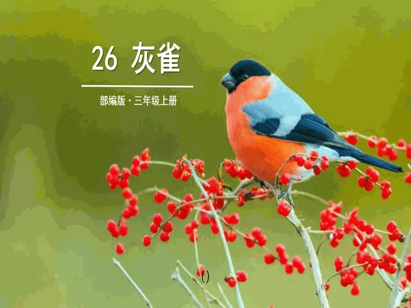 PPT内页预览
