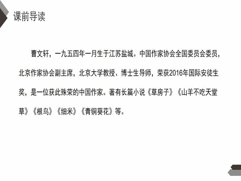 PPT内页预览