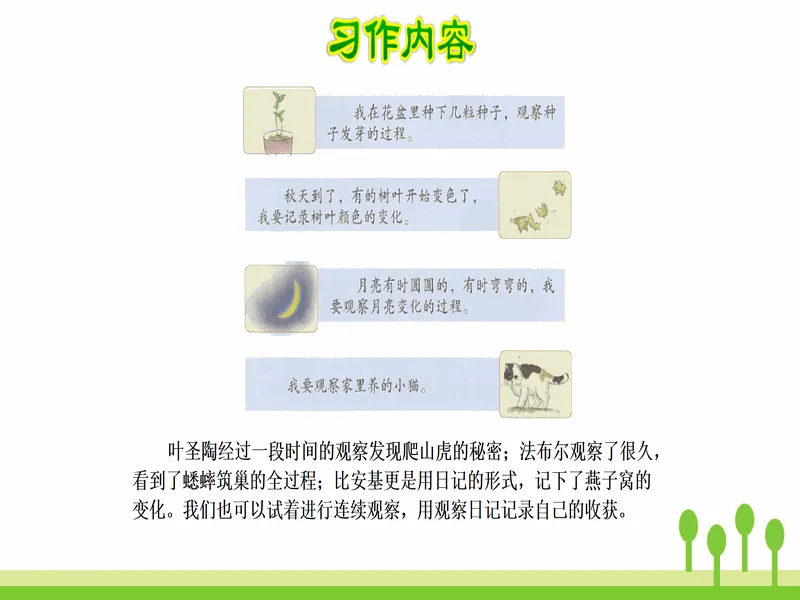PPT内页预览