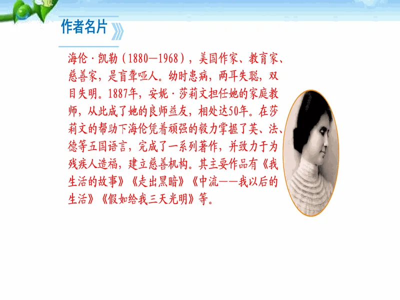 PPT内页预览