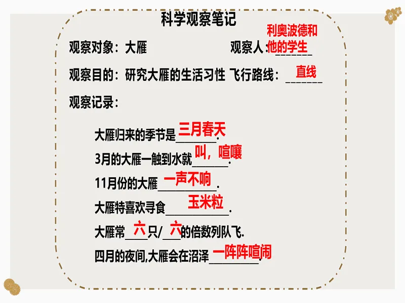 PPT内页预览