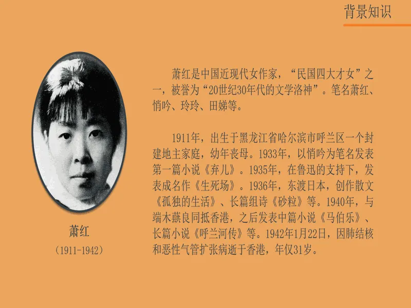 PPT内页预览