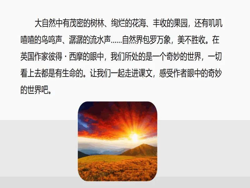 PPT内页预览