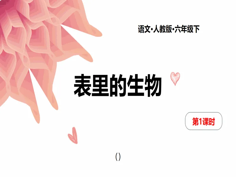 PPT内页预览