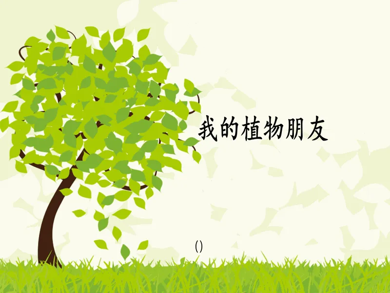 PPT内页预览