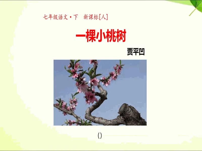 PPT内页预览