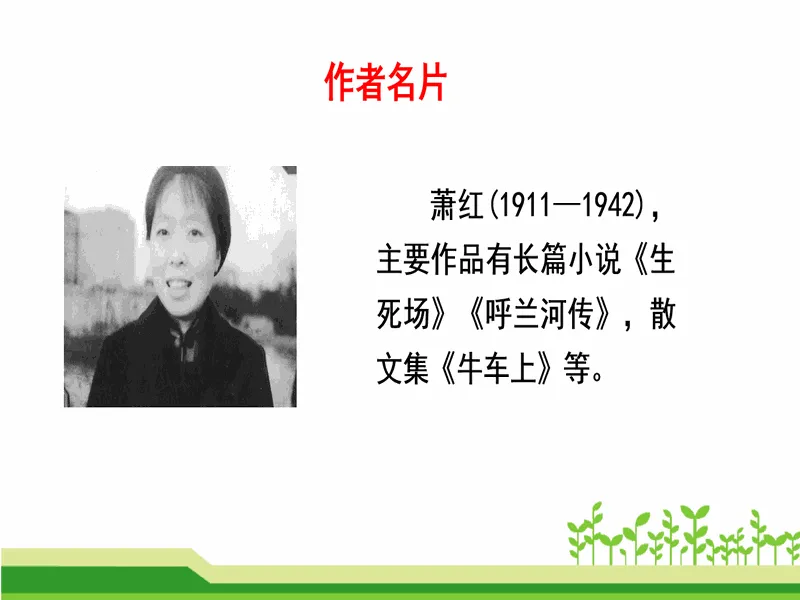 PPT内页预览