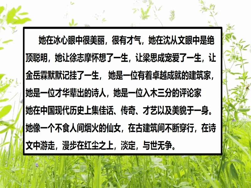 PPT内页预览